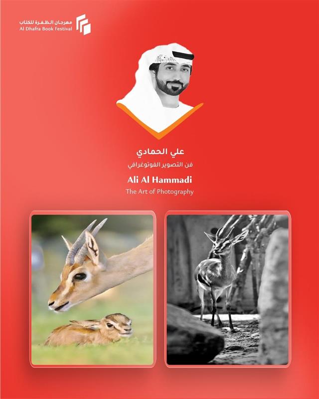 فن التصوير الفوتوغرافي