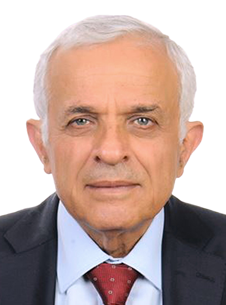 أ. د. رضوان السيد 