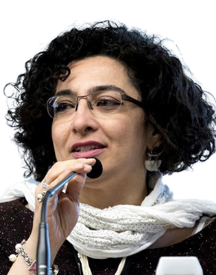 Dr Berlant Qabeel - Moderator