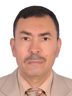 Khaled Benguega - Moderator